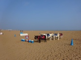 donkey rides on the beach